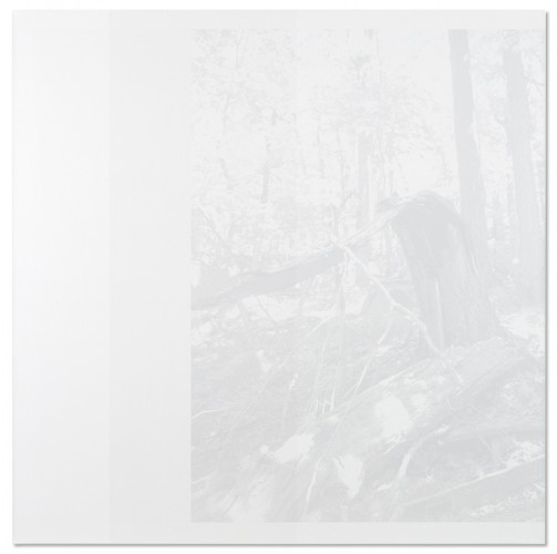 Stratal, 2010, Cameron Martin